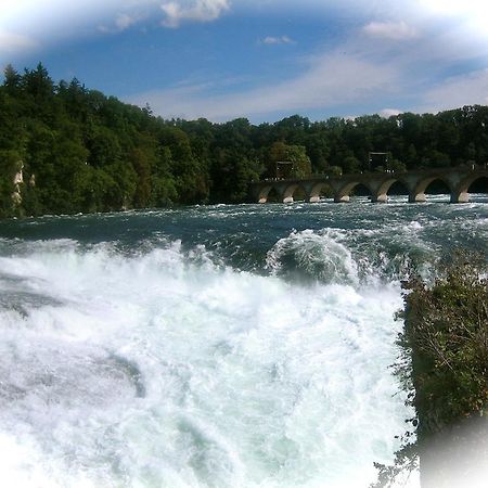 Ferienwohnung Endlich Ferien Waldshut-Tiengen Exteriör bild