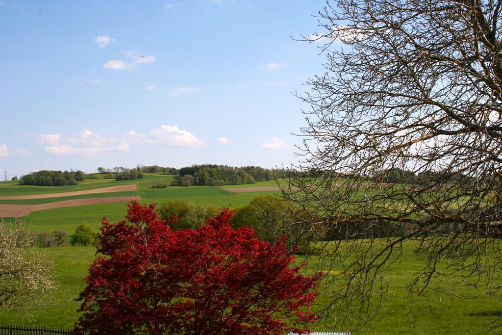 Ferienwohnung Endlich Ferien Waldshut-Tiengen Exteriör bild