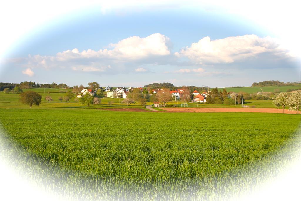 Ferienwohnung Endlich Ferien Waldshut-Tiengen Exteriör bild